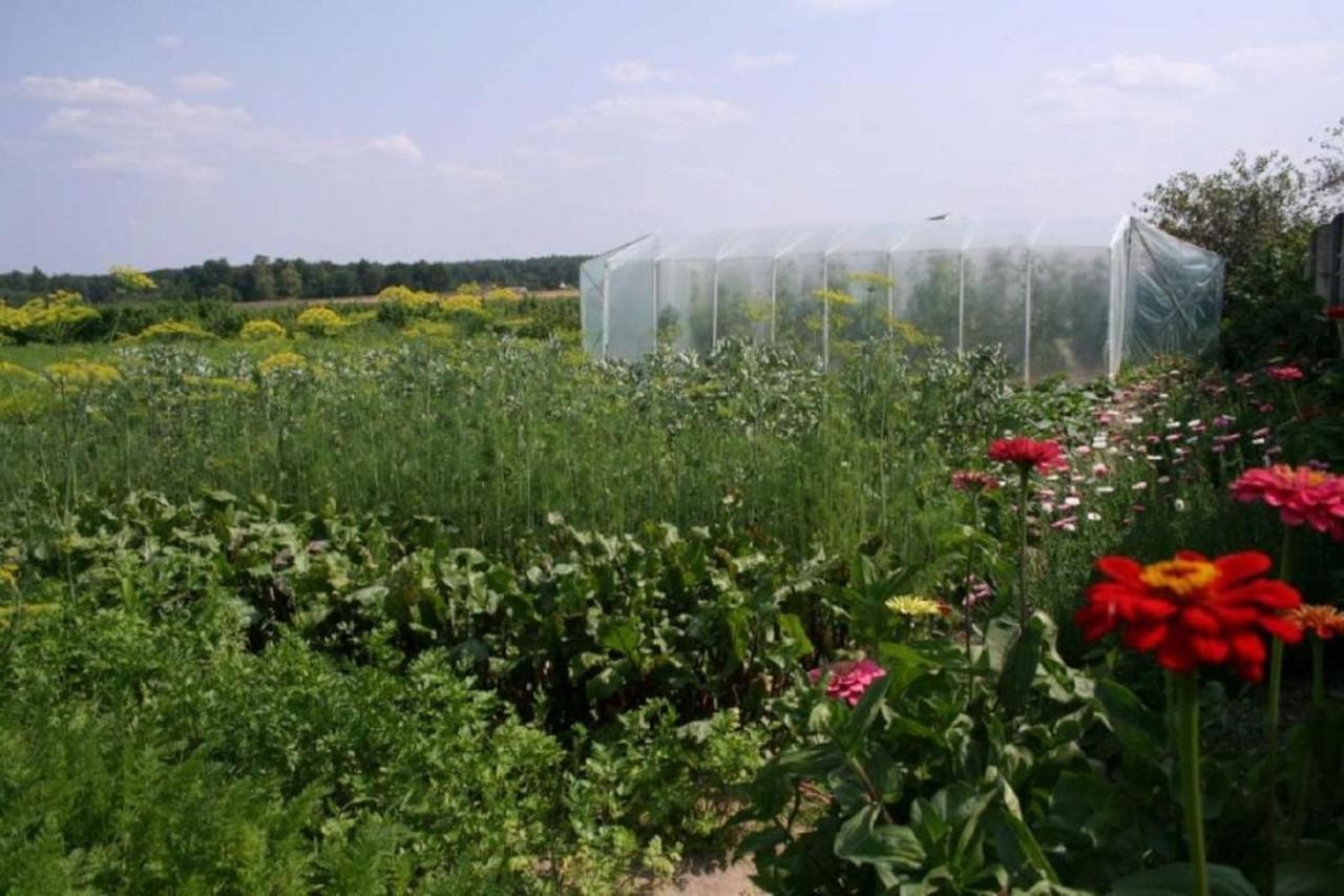 Agroturystyka Pod Modrzewiem Балтов Екстериор снимка